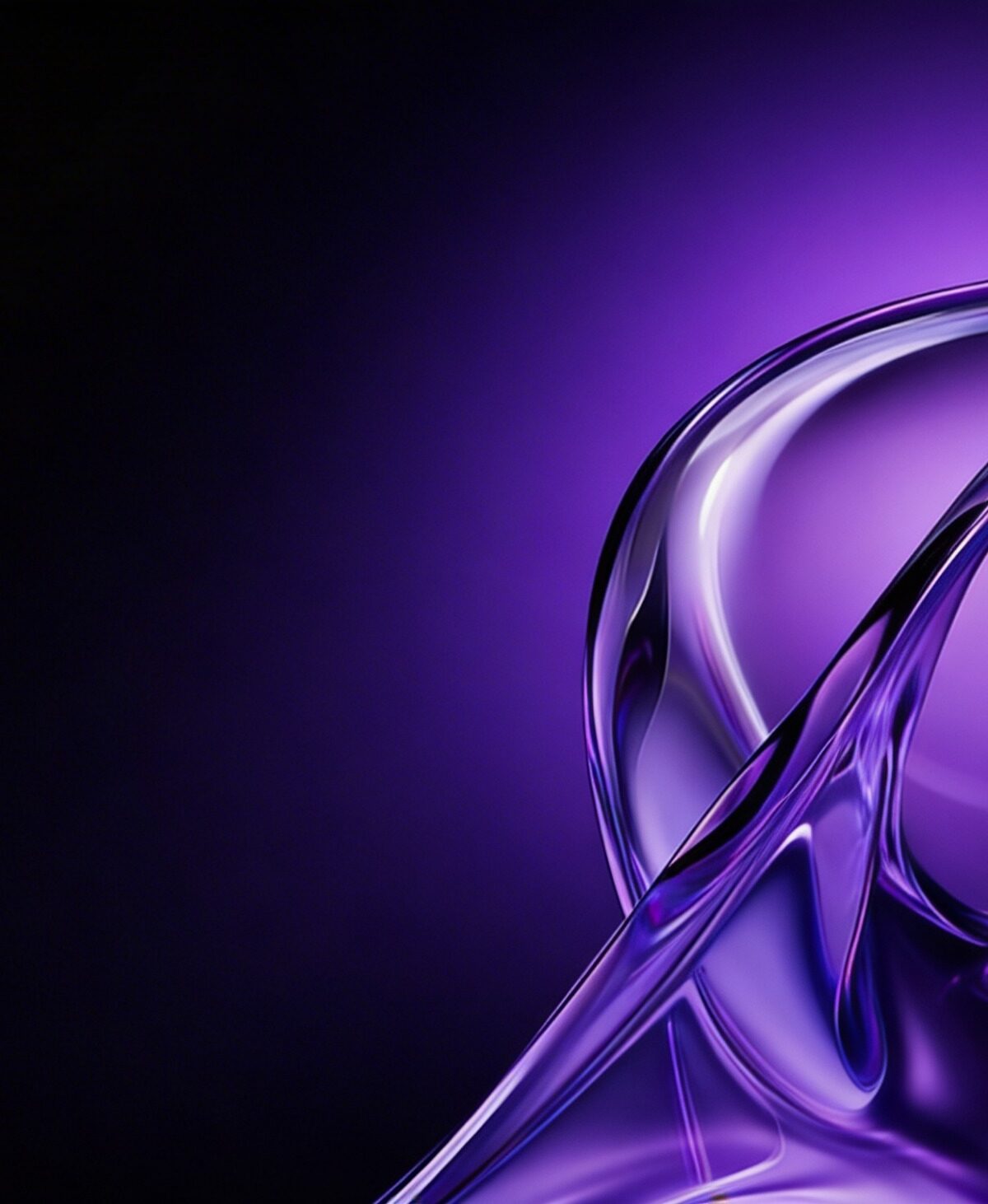 WhatsApp Image 2026-02-21 at 1.23.37 PM